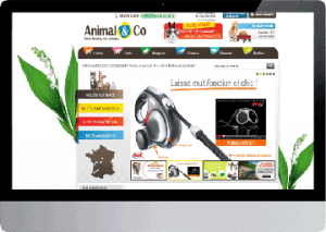 site web animal-and-co